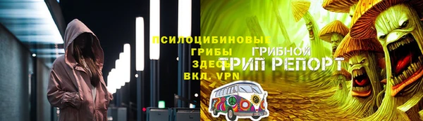 бошки Мегион