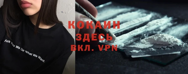 бошки Мегион