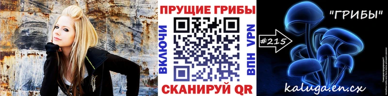 Купить закладки  Нижние Серги  Псилоцибиновые грибы мухоморы 